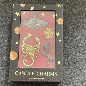 Anthropologie Gold and Black Candle Charms